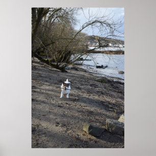 Póster Capo von Oppenheim, perro Jack Russell Terrier