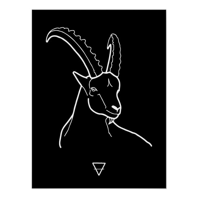 Póster Capricorn (Anverso)