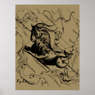 Póster Capricornio Constellation Vintage Engraving Heveli
