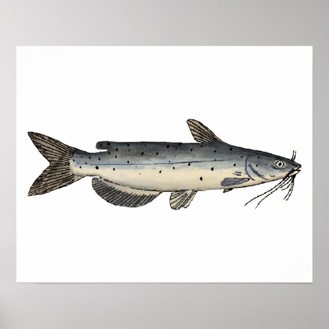 Póster Caprino de canal (juvenil) (Frente)