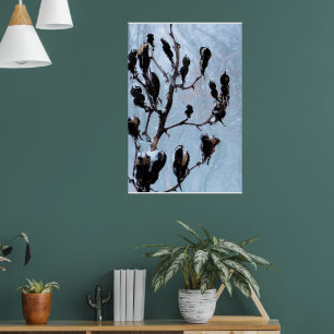 Póster Cápsulas de la naturaleza de Moody Blues
