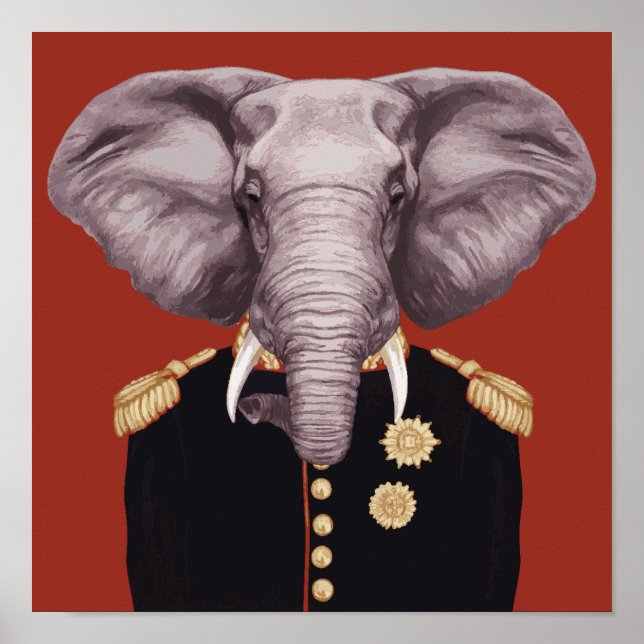 Póster Captain Elephant (Frente)