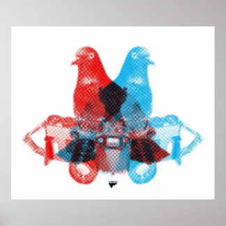 Póster Captura de pantalla del fotógrafo Pigeon Spy