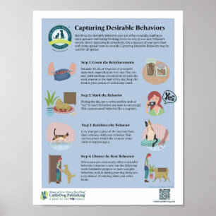 Póster Captura del Poster de comportamientos deseables
