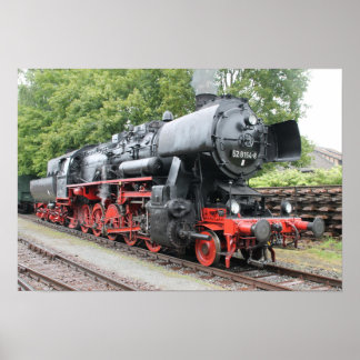 Póster Capucha de Damasco 52 8154