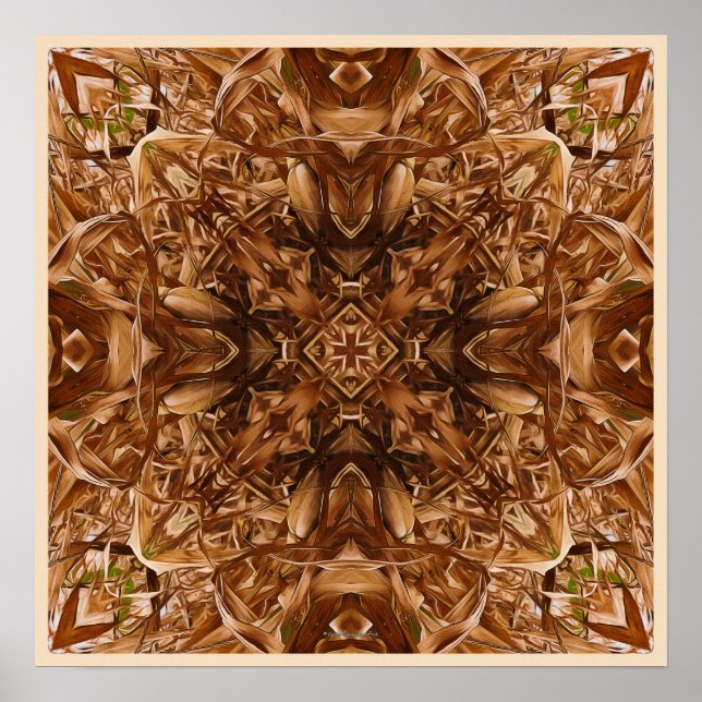 Póster Capuchas de maíz secas Resumen 16 (Frente)