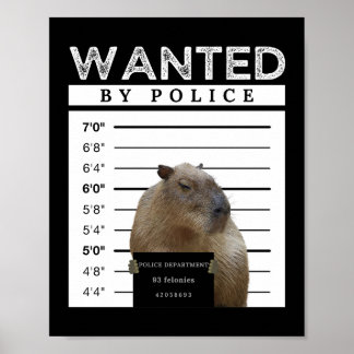 Póster Capybara deseaba un Poster de meme de chiribarita