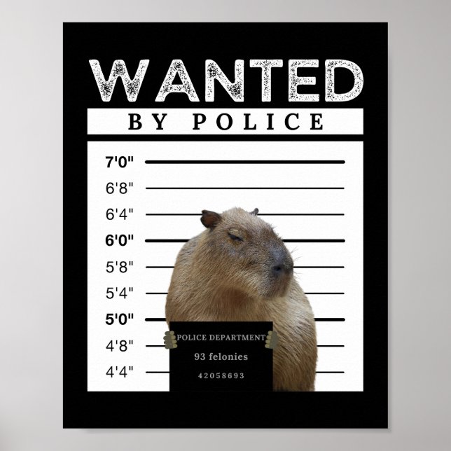 Póster Capybara deseaba un Poster de meme de chiribarita (Frente)