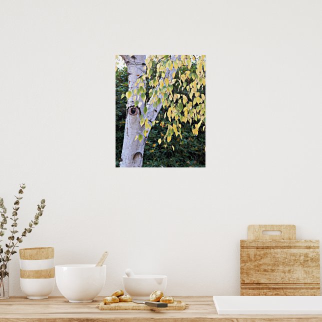 Póster Cara de árbol de abedul Naturaleza (Cocina)