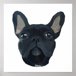 Póster Cara de bulldog de frenchií.