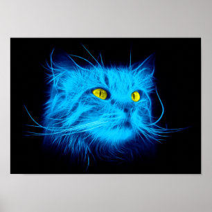 Póster Cara de gato azul