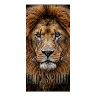 Póster Cara de León Majestuoso con Ojos Azules   Anima Si