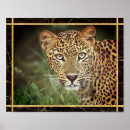 Póster Cara de leopardo en primer plano Foto Imagen Impre