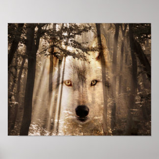 Póster Cara de lobo en el bosque