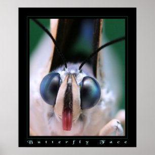 Póster Cara de mariposa