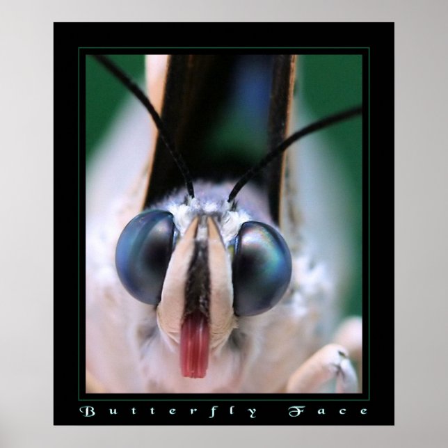 Póster Cara de mariposa (Frente)