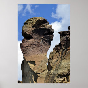 Póster Cara de mono