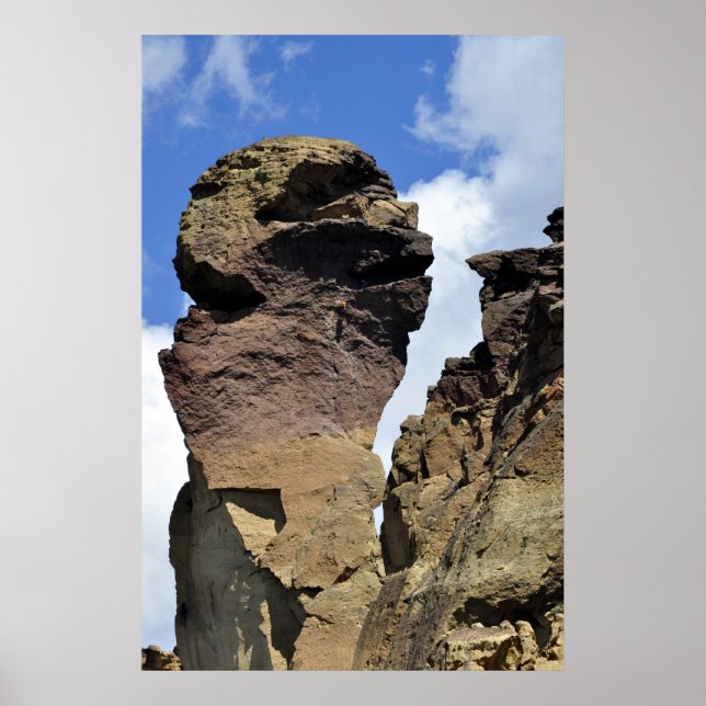 Póster Cara de mono (Frente)