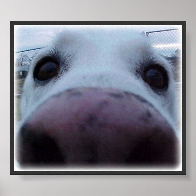 Póster Cara de perro (Frente)