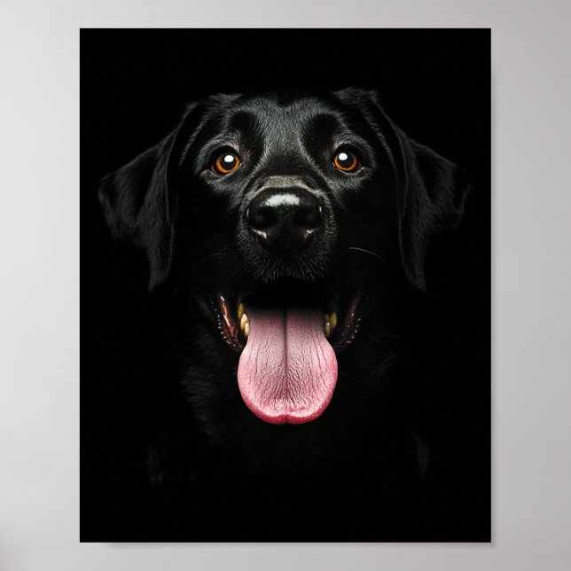 Póster Cara de perro cachorro Labrador Retriever negro li (Frente)