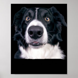 Póster Cara de perro negra y blanca
