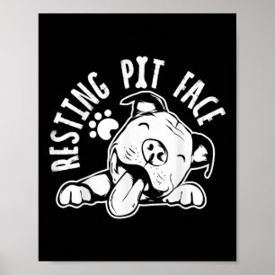 Póster Cara de Pit en Reposo Ropa de Meme Divertido de Pi