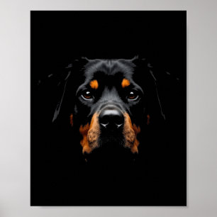 Póster Cara de rotismo de perro de Rottweiler negro