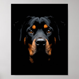 Póster Cara de rotismo de perro de Rottweiler negro