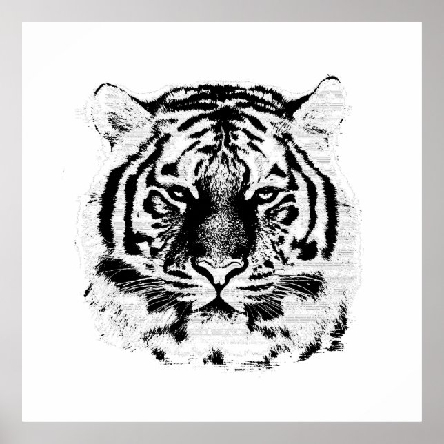 Póster Cara de tigre blanco y negro (Frente)