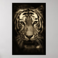 Cara de tigre en tonos sepia