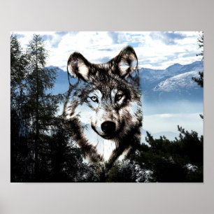 Póster Cara del lobo