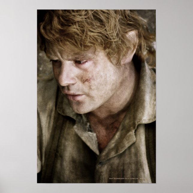 Póster Cara lateral de Samwise (Frente)