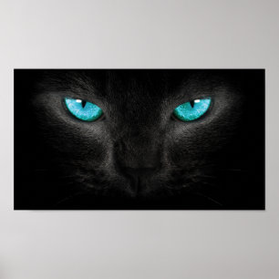 Póster Cara negra de gato con ojos turquesas