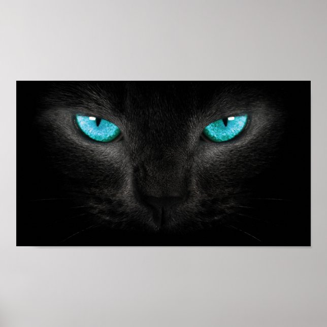 Póster Cara negra de gato con ojos turquesas (Frente)