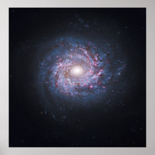Póster Cara sobre la galaxia espiral NGC 3982 desde el Hu