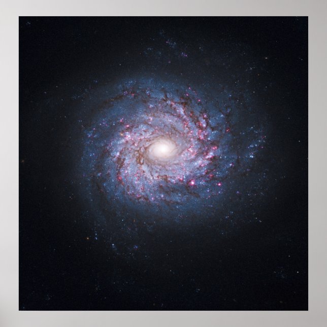 Póster Cara sobre la galaxia espiral NGC 3982 desde el Hu (Frente)