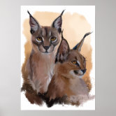 25 ideas de Floppa  flopa, caracal, plantillas de animales