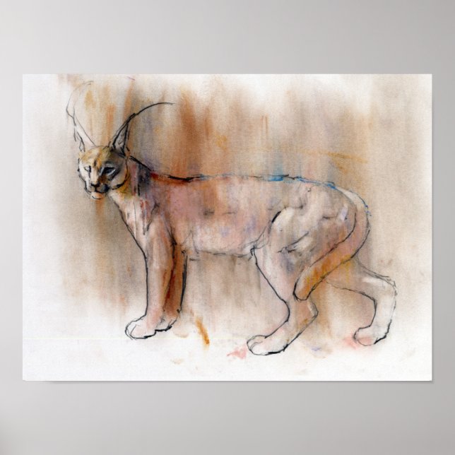 Póster Caracal árabe 2009 (Frente)