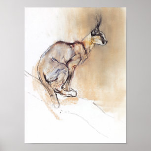 Póster Caracal asentado 2009