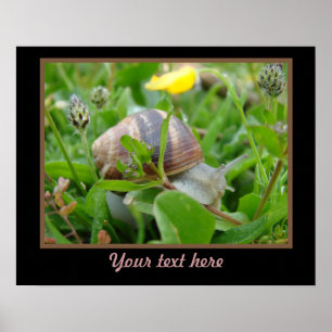 Póster Caracol con la flor amarilla