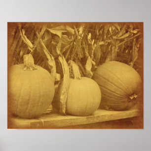 Póster Caracoles de calabaza Cae Aspecto vintage