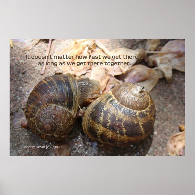 Póster Caracoles enamorados (Frente)