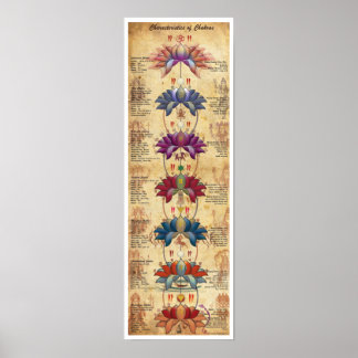 Póster Características de Chakras - estilo comparativo