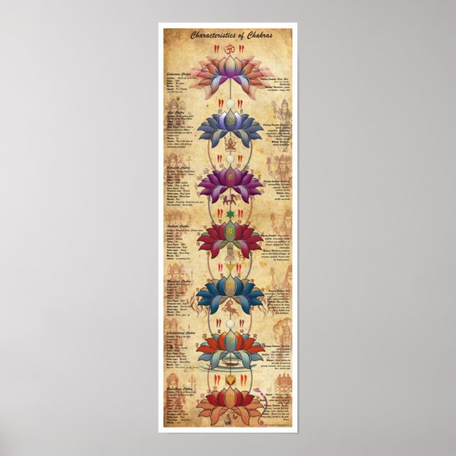 Póster Características de Chakras - estilo comparativo (Frente)