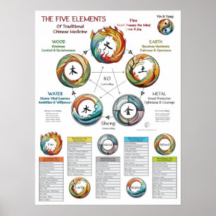 Póster Características de los Cinco Elementos MTC