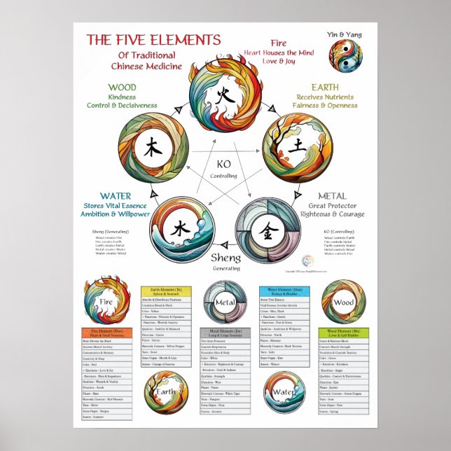 Póster Características de los Cinco Elementos MTC (Frente)