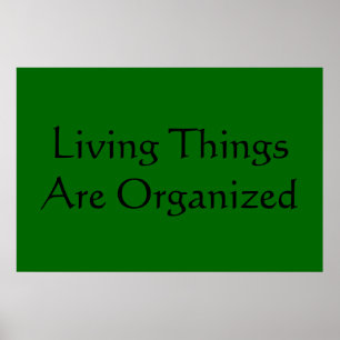 Póster Características de vida