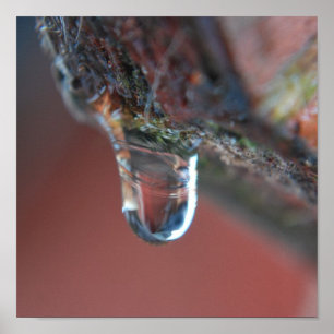 Póster Carámbano colorido