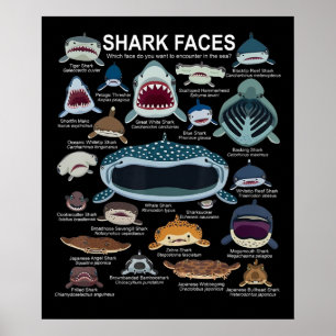 Póster Caras de tiburón que quieres encontrar