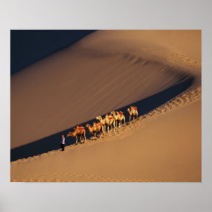 Póster Caravana en el desierto, Dunhuang, Gansu del
